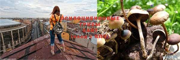 гашиш Осинники